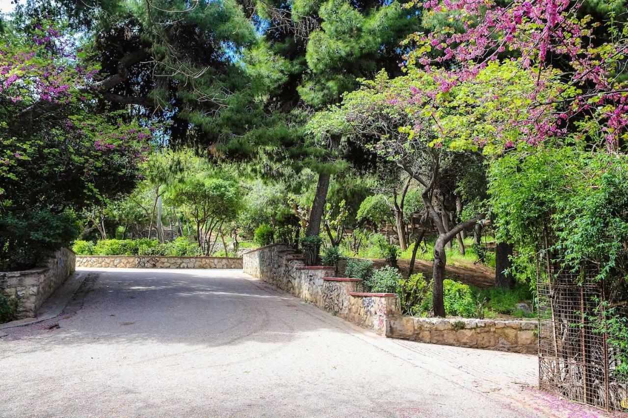 Charming Apartment Near Panathenaic Stadium Eksteriør bilde